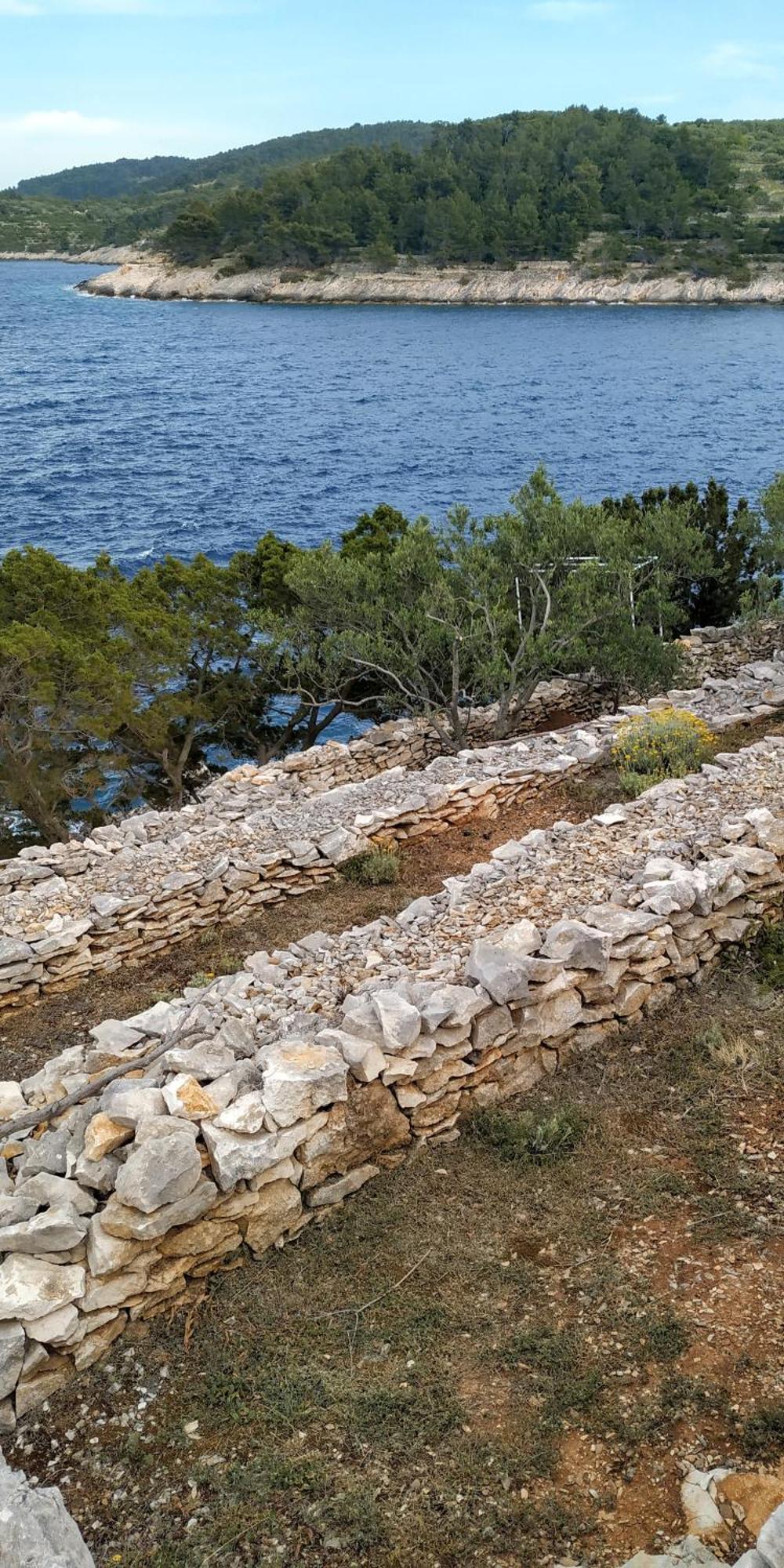 House On Punta Villa Vela Luka Ruang foto